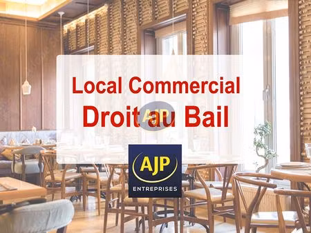 bar  brasserie  local commercial 337 m² nantes