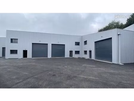 atelier / entrepôt 150 m² neuf - porte sectionnelle - treillières