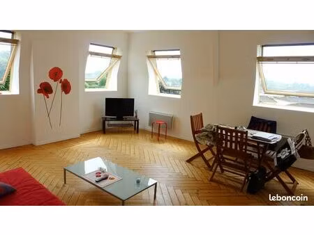 beau f1 bis 38m² situation idéale (visale accepté)