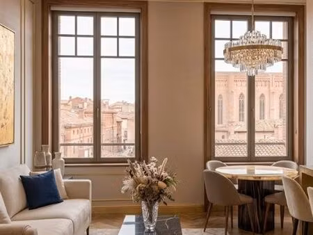 loue - appartement diamant - vue sur la cathédrale d'albi
