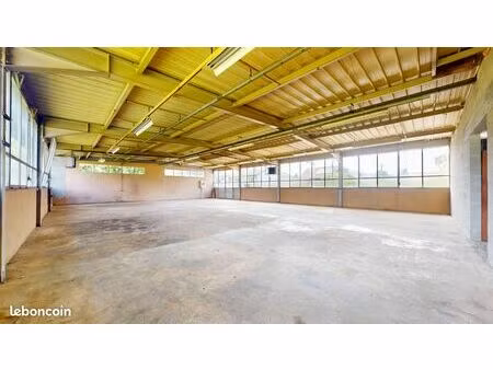 immeuble 22 pièces 595 m²