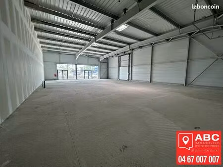 local commercial 691 m² pollestres