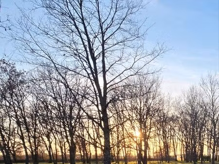 terrain constructible viabilisé a vendre a montbeton endroit calme et arboré en campagne e