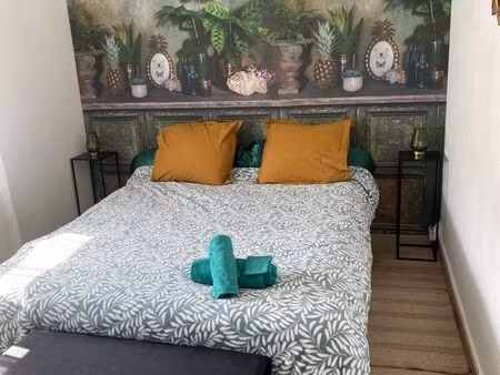appartement meublé 29 m2 à louer
