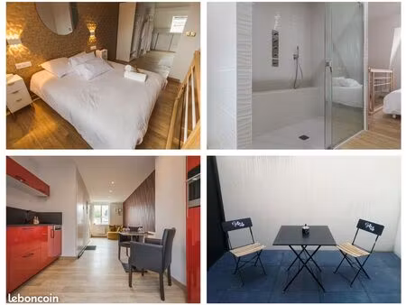 magnifique duplex de standing 40m² avec terrasse – hyper centre