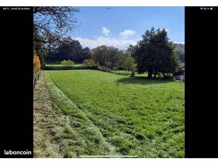terrain constructible