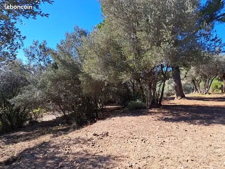 terrain 1434 m² fayence