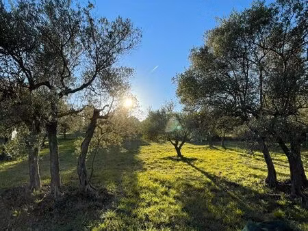 terrain agricole