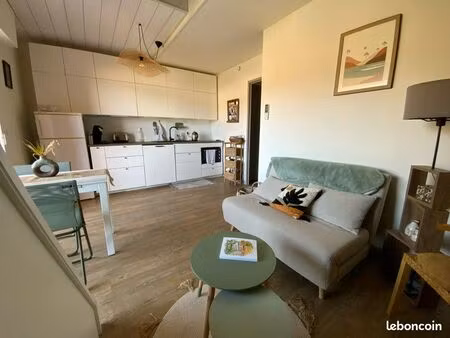baie st clair : appt duplex 52 m2 au total / 41 m2 loi carrez (plage à pied) avec belle te