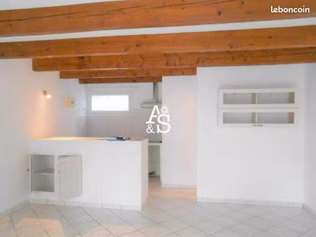 studio 1 pièce 61 m²