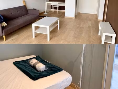 superbe appartement avec chambre séparée (proche de l’edhec)