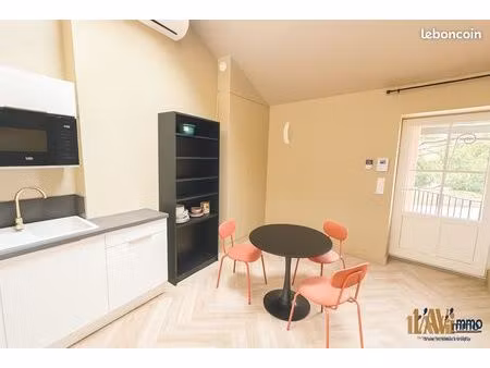 duplex 1 pièce 19 m²