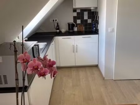 appartement meublé (gex)