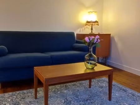appartement meublé - wi-fi inclus | t2 centre | contemporain