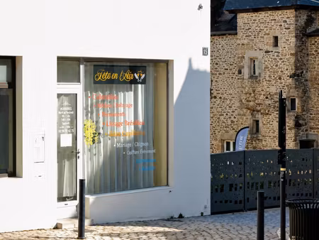 local professionnel ou commercial