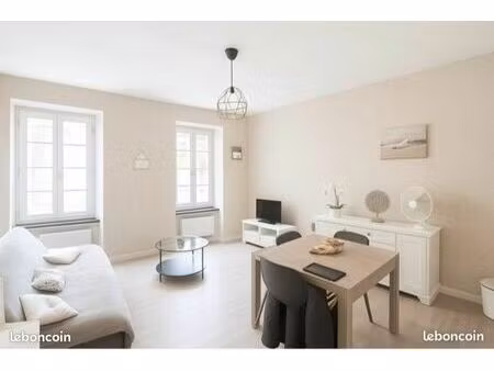 appartement chaleureux en plein cœur de ville