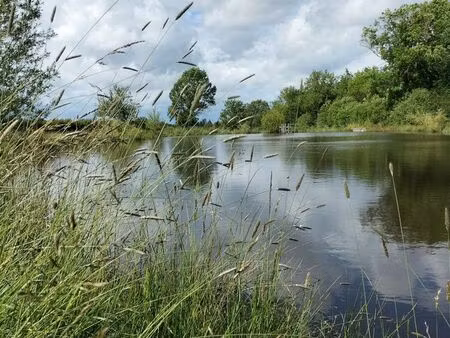 terrain de loisir avec étang