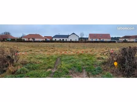 terrain constructible