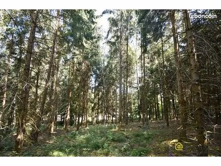 terrain 5420 m² anould