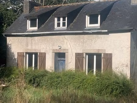 vente lot terres agricoles et maison à rénover sur terrain constructible et hangar