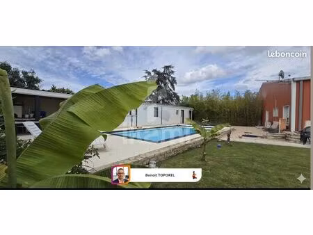 studio 4 pièces 115 m²