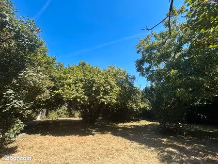 beau terrain constructible 6 ares 85 120 000 euros mulhouse