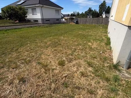 terrain de 2 ares à louer pour tiny house