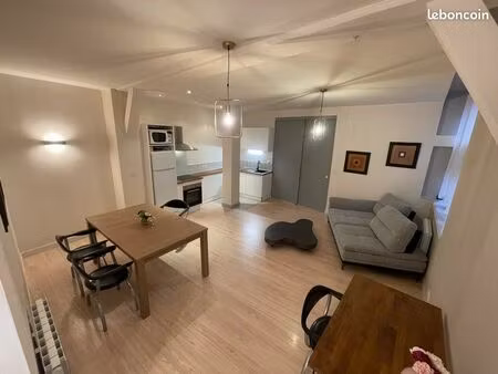 grand 2 pièces meublé 55 m2