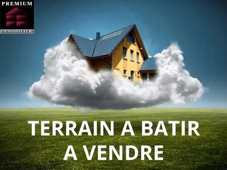 terrain constructible