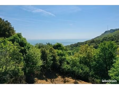 terrain 1 724 m² brando