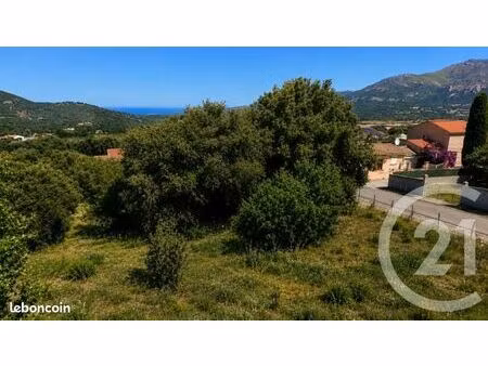 terrain 1 105 m² calenzana