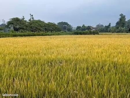 recherche exploitation agricole