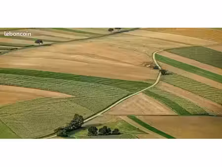 terrain agricole