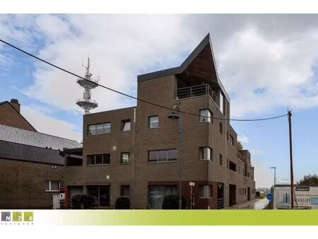 appartement à louer à leemhoek 2 maaseik (rbw26338)