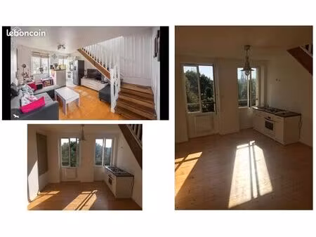 duplex type maison de ville 60m² au sol avec jardin et garage