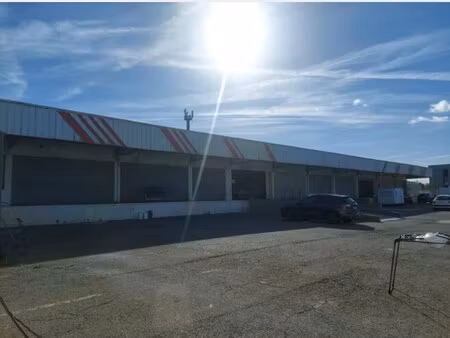 vente commerce carquefou 44470 227m²
