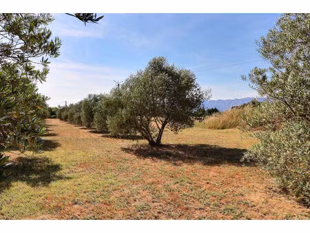 belle propriété familiale avec piscine sur 14 000 m² de terrain