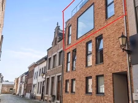 appartement à louer à maaseik € 1.450 (lpf47) - johan telen vastgoed | zimmo