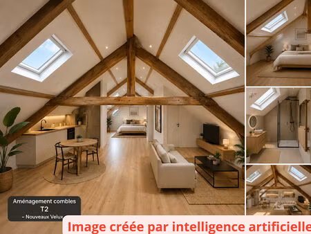spécial investisseur grenier aménageable 46 m² loi carrez quartier gare