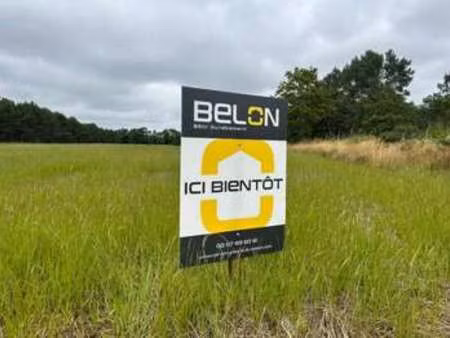 vente terrain à névez (29920) : à vendre / 923m² névez