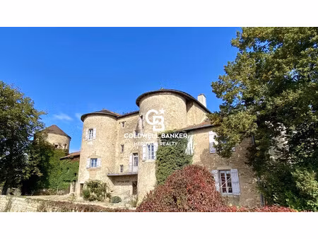 vente château 36 pièces