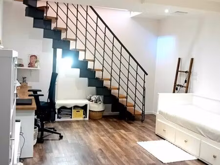 appartement cœur lyon monplaisir