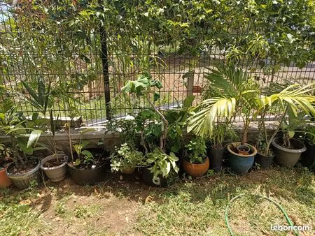 490 cc 1 pièce 20 m² – petit village charmant proche annonay / davezieux 07430