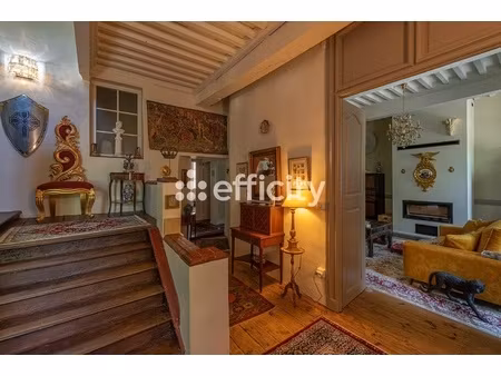 maison 9 pièces - 242 m²