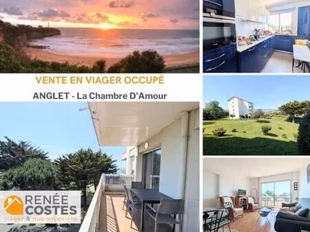 viager occupé - h75 ans - anglet (64600)