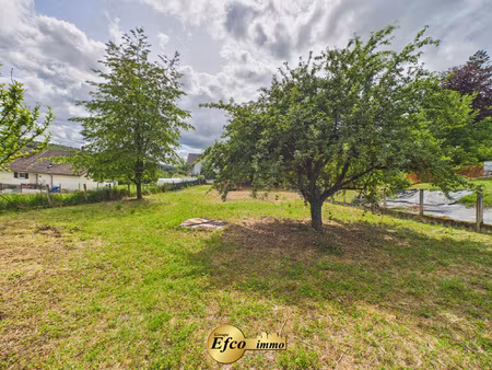 opportunité ! maison et terrain constructible 29 ares