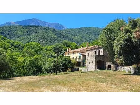 splendide et spacieuse propriété avec dependances et piscine