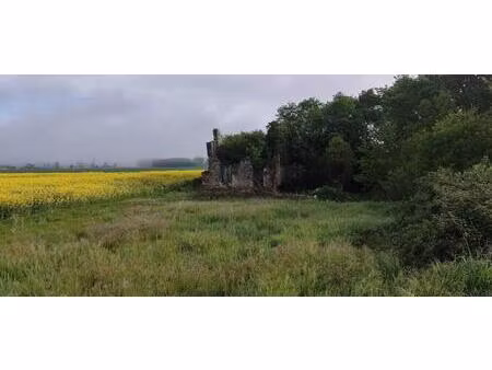 très joli terrain avec ruine existante permettant de reconstruire une maison en lieu et pl