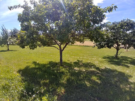 achat terrain 2 003m²