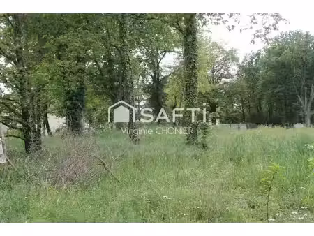 vente terrain 1220 m² saint-étienne-de-vicq (03300)